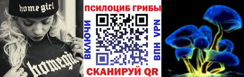 Псилоцибиновые грибы Cubensis  Белинский 