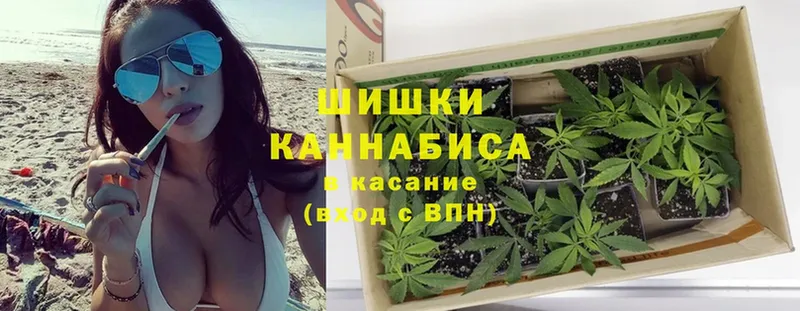 Марихуана SATIVA & INDICA  Белинский 